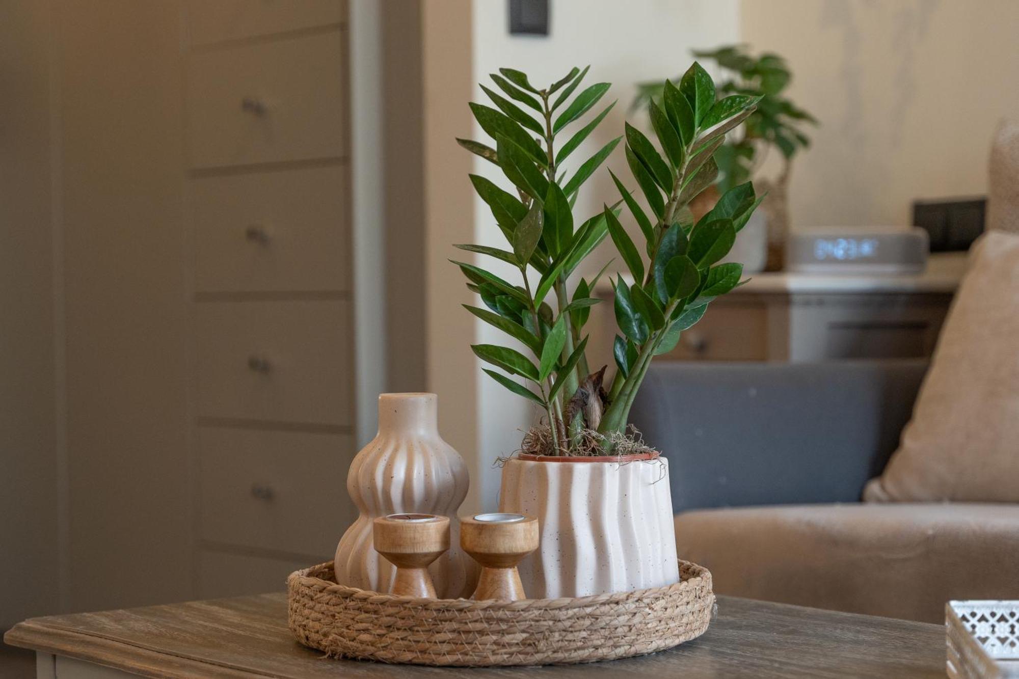 Ixia Home Exteriér fotografie
